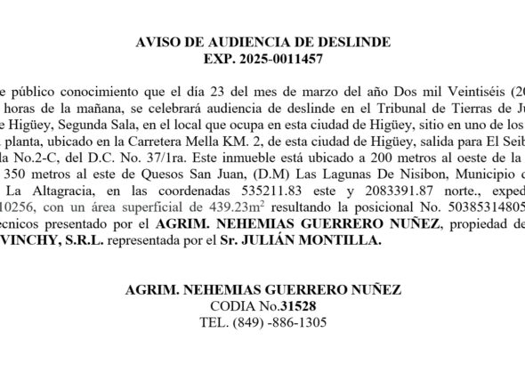 deslinde nehemias-davinchy