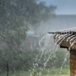 image-2026-03-03T190912.836