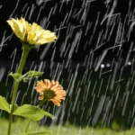 indomet-lluvias-se-reduciran-se-descontinuan-las-provincias-en-alerta-23cda93d-focus-0-0-1200-675-3