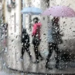 onametalertas-focus-0-0-1200-675