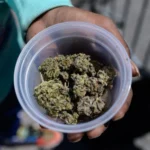 AFP__20260423__A8R44ZQ__v1__MidRes__FilesUsDrugsHealth-728x499