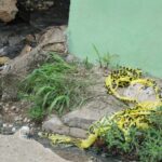 WhatsApp-Image-2026-04-24-at-12.00.47-PM-900x600