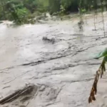 borrador-automatico-20260425-010059-Mc3H