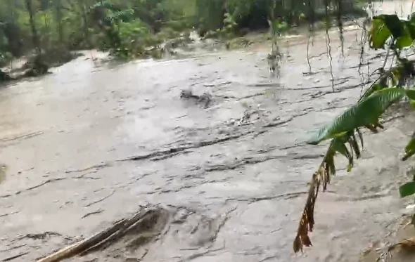 borrador-automatico-20260425-010059-Mc3H