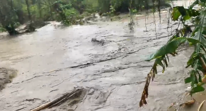 borrador-automatico-20260425-010059-Mc3H