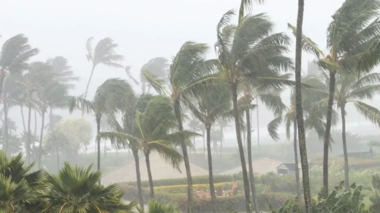 indomet-se-mantienen-provincias-en-alerta-por-incremento-de-las-lluvias-20260403-110139-EyvL-1200x675