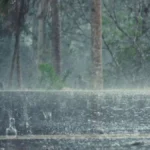 indomet-vaguada-continuara-generando-fuertes-aguaceros-y-tronadas-provincias-e-20260429-111712-L4xG-1200x675