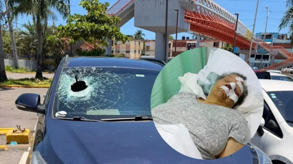 joven-denuncia-agresion-con-piedra-en-las-americas-que-dejo-herida-a-su-abuela-d-20260426-135318-W8ex-1200x675
