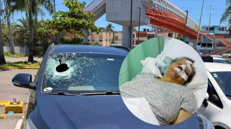 joven-denuncia-agresion-con-piedra-en-las-americas-que-dejo-herida-a-su-abuela-d-20260426-135318-W8ex-1200x675