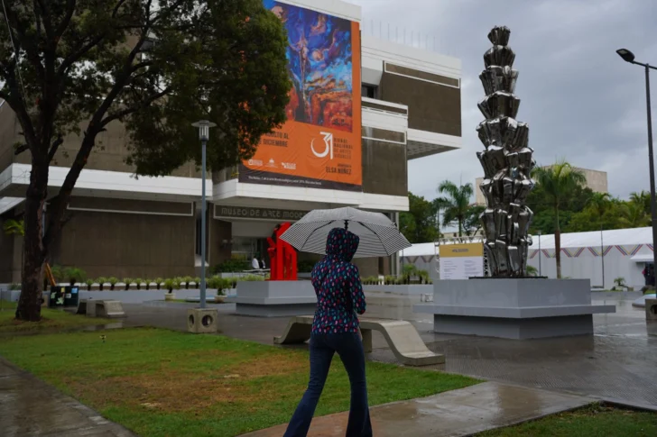 Feria-del-Libro-suspende-actividades-por-lluvias-en-Santo-Domingo-728x485