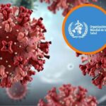 OMS-Hantavirus-900x675