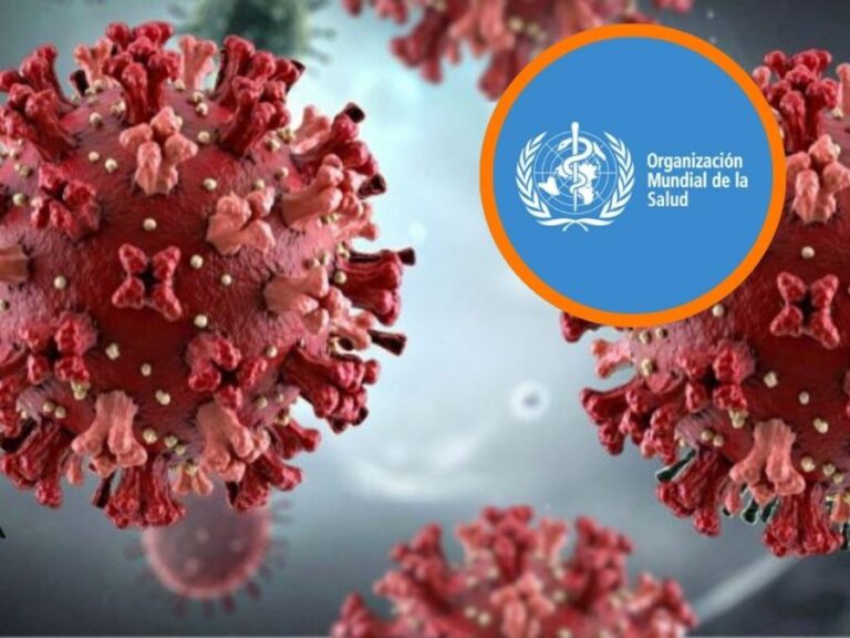 OMS-Hantavirus-900x675