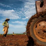 Agricultor-en-un-campo-de-batatas-en-Alquizar-Cuba-728x410
