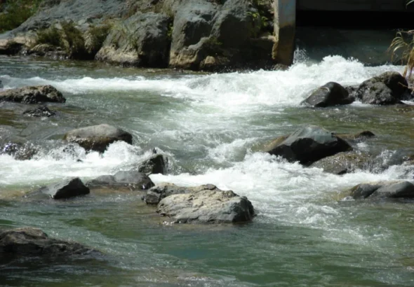 DSC05538-728x546