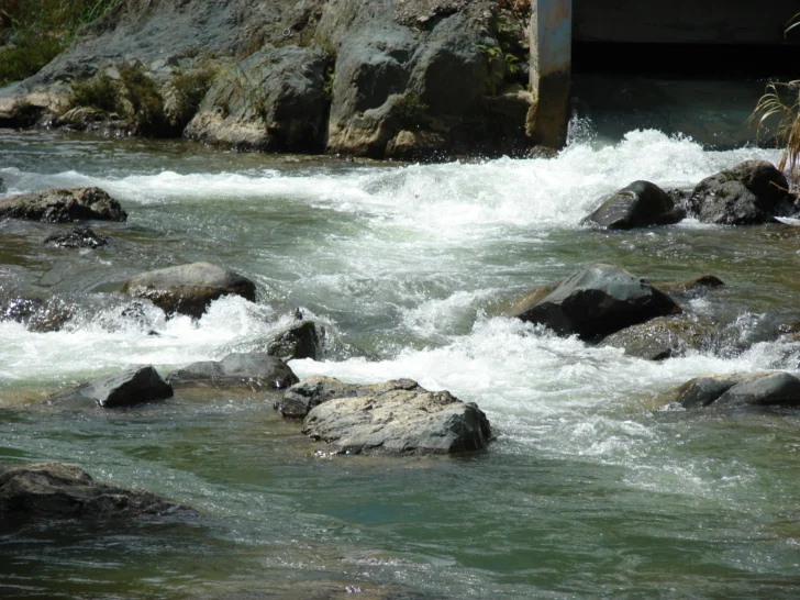 DSC05538-728x546