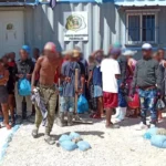 Migracion-En-Constanza-2.jpeg