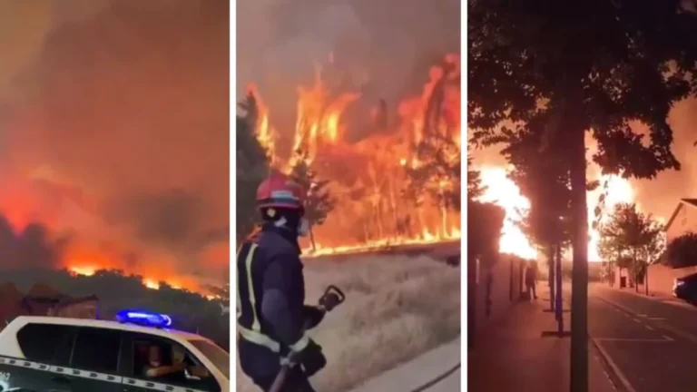 los-incendios-forestales-queman-en-espana-mas-de-152500-hectareas-en-lo-que-va-20260726-110746-t0pq-1200x675