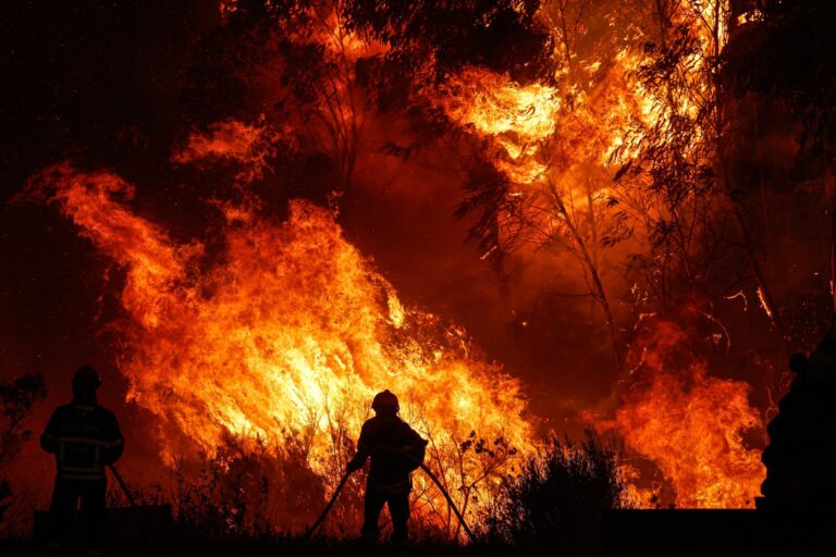 Forest fire in the municipality of Odemira