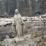 AFP__20260803__C3TU6WE__v3__HighRes__ThousandsToldToEvacuateAsWildfiresWorsenInWashi-728x485