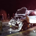 Las-carreteras-ya-son-un-peligro-y-a-ese-riesgo-se-suman-los-animales-sueltos