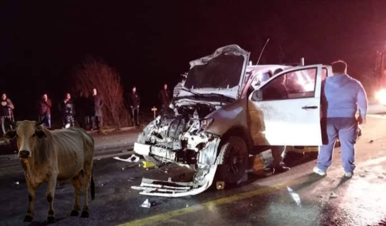 Las-carreteras-ya-son-un-peligro-y-a-ese-riesgo-se-suman-los-animales-sueltos