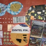 INCAUTACIONES-PN-SUR-728x410